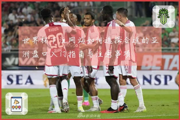 世界杯下注网站如何选择合适的亚洲盘口入门指南与注意事项