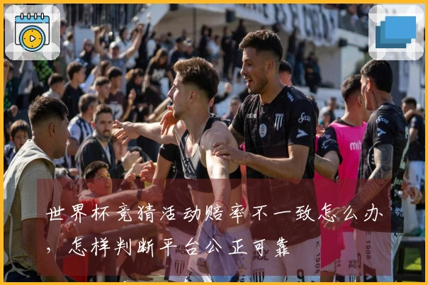 世界杯竞猜活动赔率不一致怎么办，怎样判断平台公正可靠