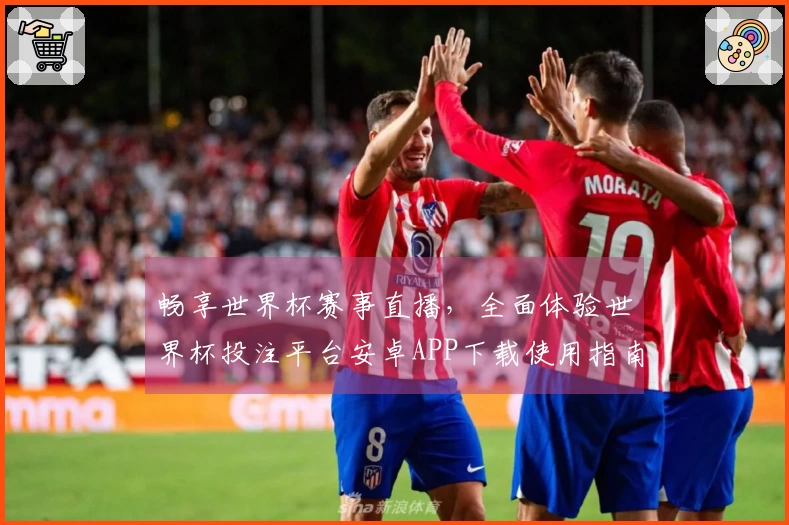 畅享世界杯赛事直播，全面体验世界杯投注平台安卓APP下载使用指南