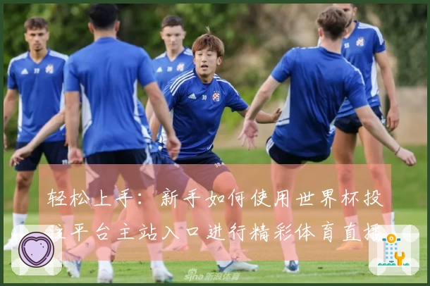 轻松上手：新手如何使用世界杯投注平台主站入口进行精彩体育直播体验