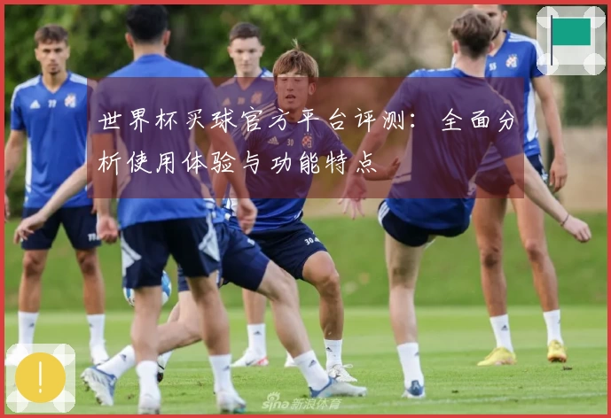 世界杯买球官方平台评测：全面分析使用体验与功能特点