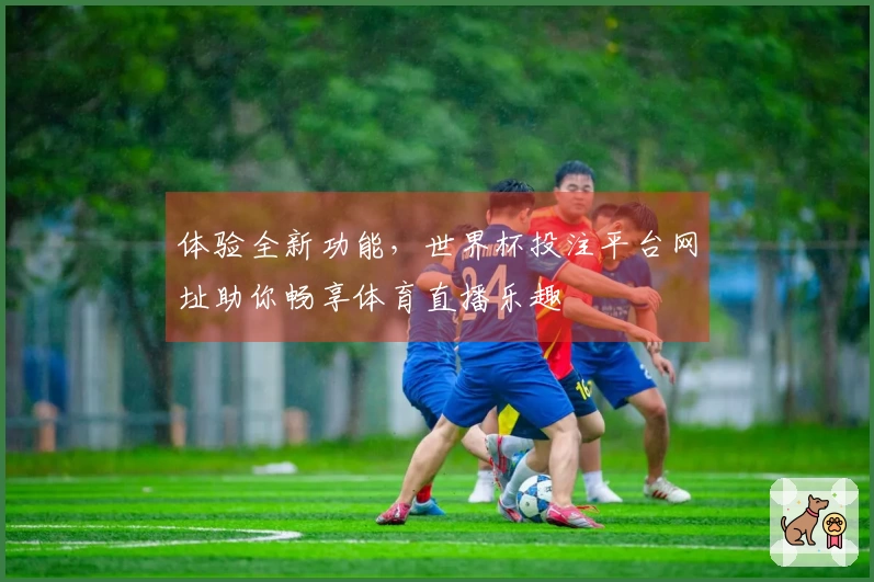 体验全新功能，世界杯投注平台网址助你畅享体育直播乐趣