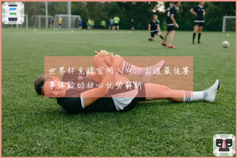 世界杯竞猜官网入口：打造最佳赛事体验的核心优势解析
