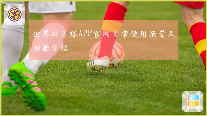 世界杯买球APP官网日常使用场景及功能介绍