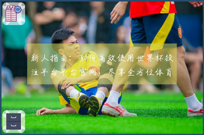 新人指南：如何高效使用世界杯投注平台平台官网，尽享全方位体育直播体验