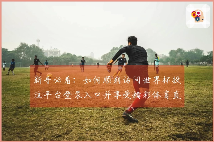 新手必看：如何顺利访问世界杯投注平台登录入口并享受精彩体育直播体验