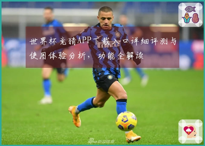 世界杯竞猜APP下载入口详细评测与使用体验分析，功能全解读
